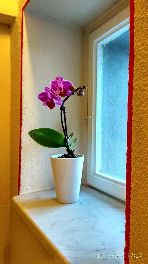 Le Rondini Di San Donato Bed & Breakfast Lucca Exterior foto