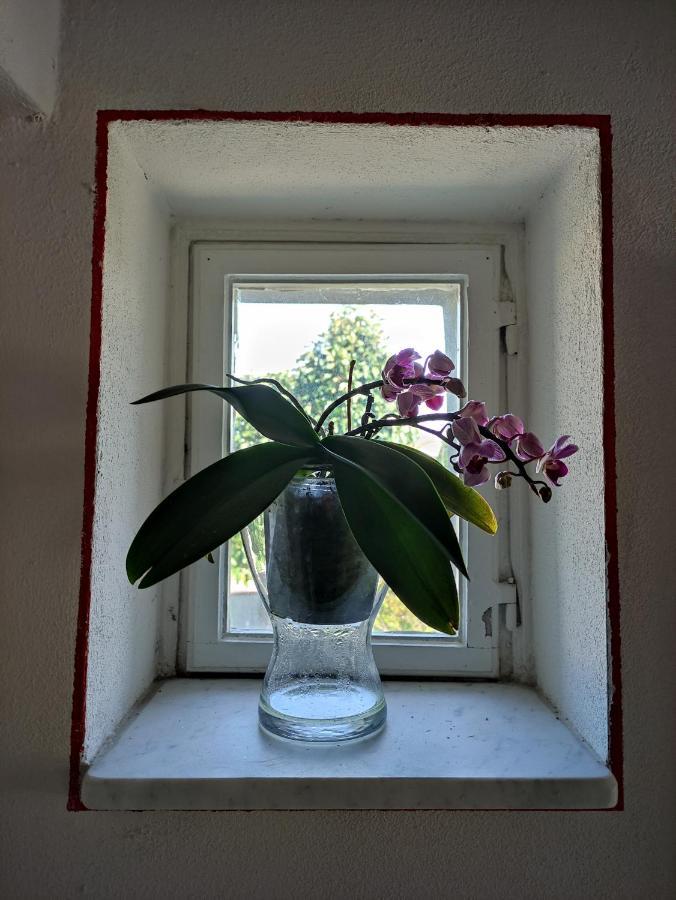Le Rondini Di San Donato Bed & Breakfast Lucca Exterior foto